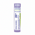 Arnica Montana 200ck 80 Ct.