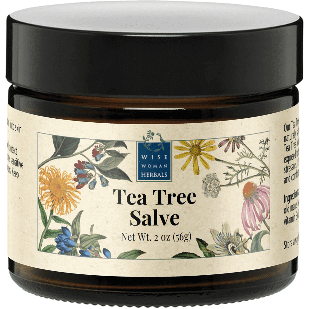 Tea Tree Salve 2 oz